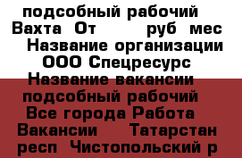 подсобный рабочий . Вахта. От 30 000 руб./мес. › Название организации ­ ООО Спецресурс › Название вакансии ­ подсобный рабочий - Все города Работа » Вакансии   . Татарстан респ.,Чистопольский р-н